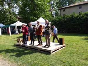 IMG-20160516-WA0004