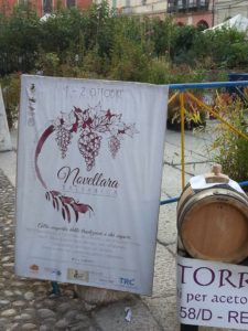 cottura-guastalla-4